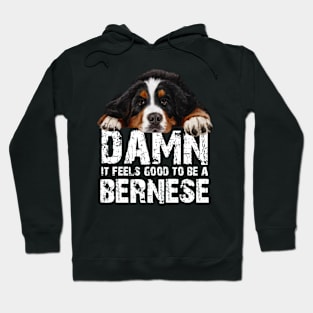 bernese mountain dog Hoodie